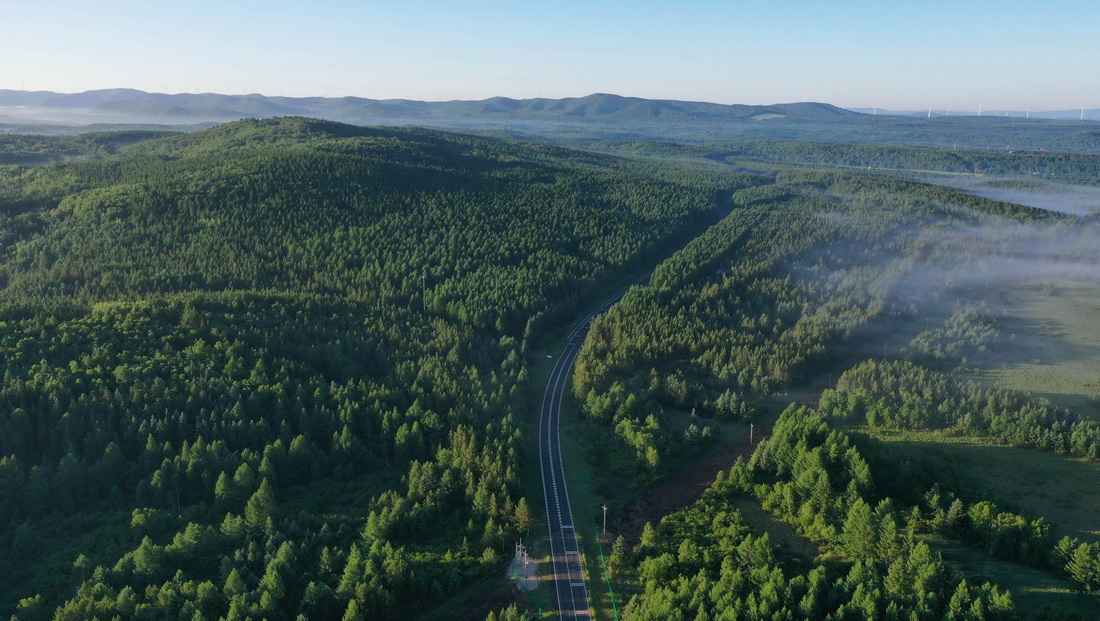塞罕坝林场建设者人物素材封面