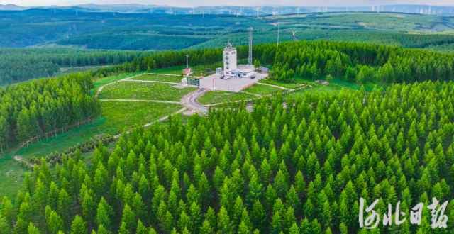 王文彪人物素材封面