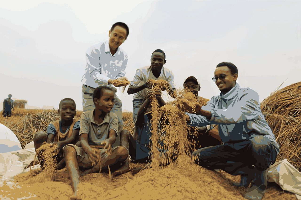 杨华德人物素材封面