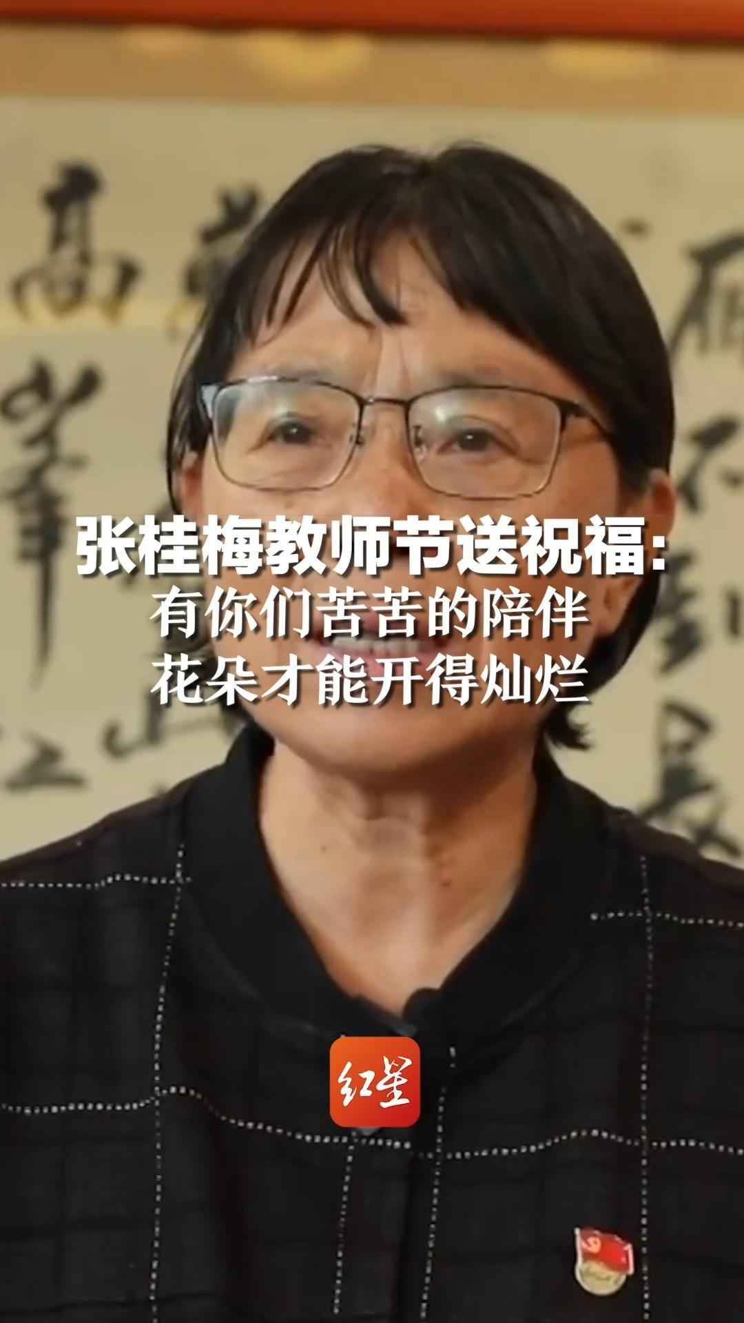 张桂梅人物素材封面